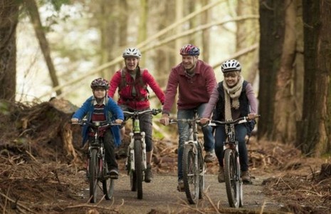 A family cycling in the woods