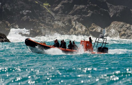 Padstow Sea Life Safari rib boat at speed