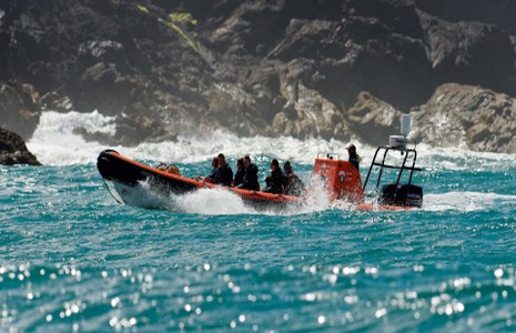 Sea Life Safarit Padstow Sea Life Safari rib boat at speed