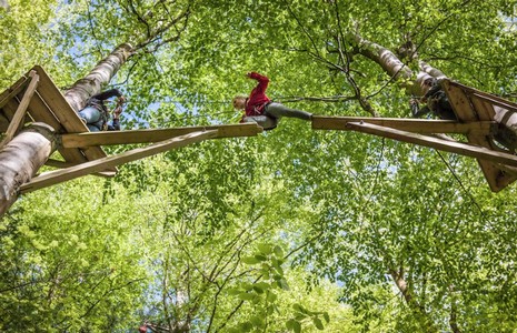 Someone high up in the trees with wire