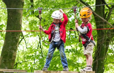 Two small children up in the trees