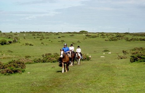 Hacking across Dartmoor Horses with riders on Dartmoor